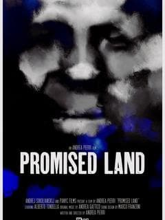 Promised Land poster