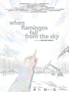 When Flamingos Fall from the Sky poster