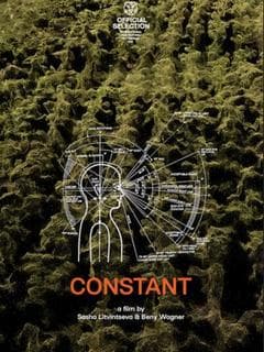 Constant poster