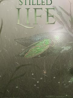 Stilled Life poster