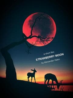 Strawberry Moon poster